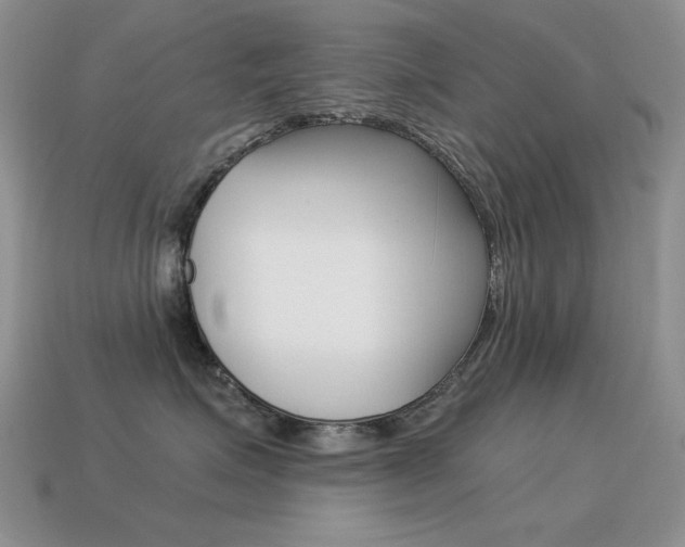 X0000115560623200911061149
