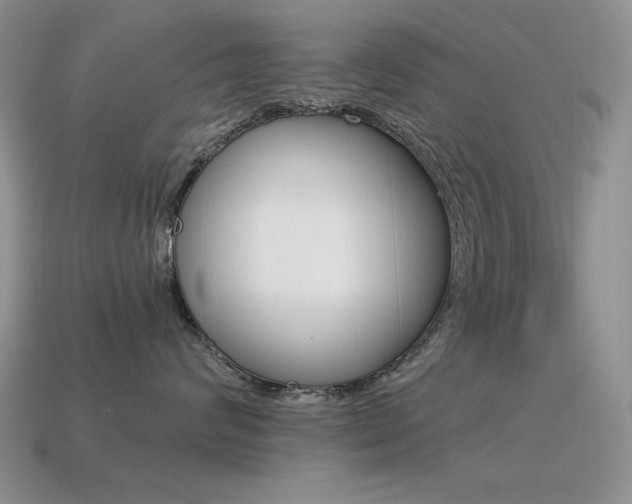 X0000115560624200911061149