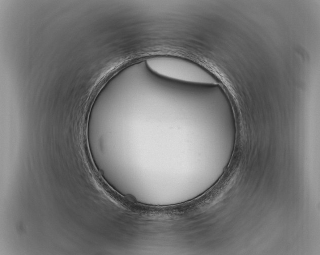 X0000115560625200911061148