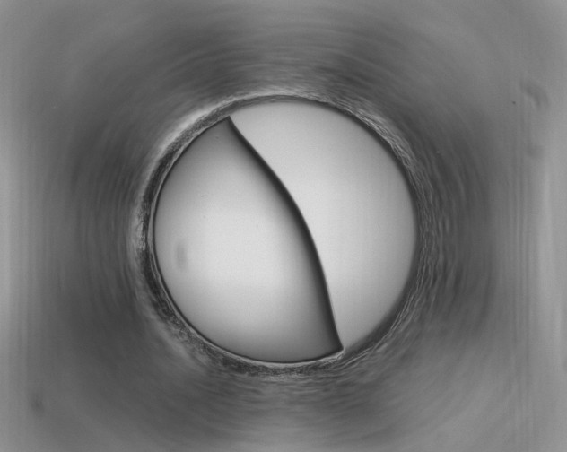 X0000115560628200911061148