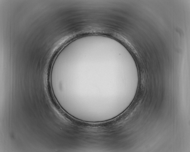 X0000115560629200911061148
