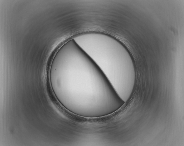 X0000115560630200911061148