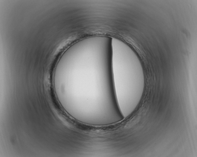 X0000115560634200911061148
