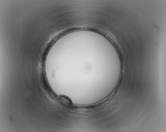 X0000115560636200911061148