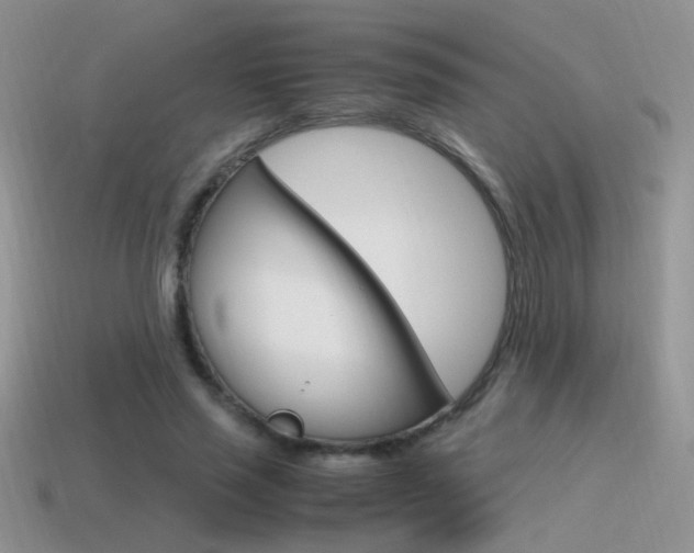 X0000115560637200911061148