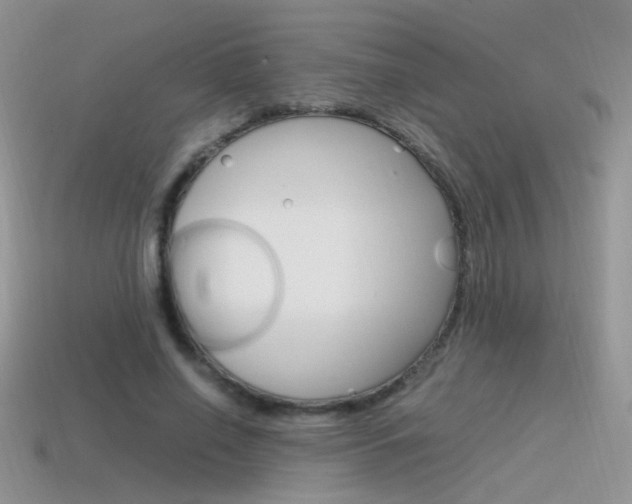 X0000115560638200911061148