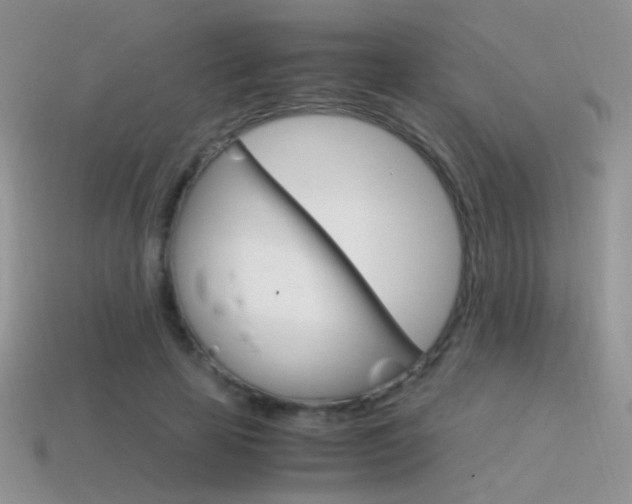 X0000115560641200911061148