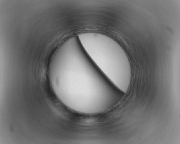 X0000115560643200911061148