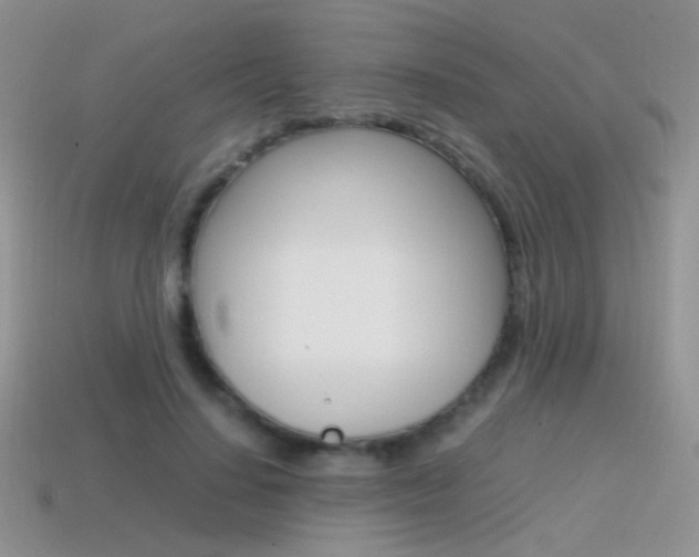 X0000115560644200911061148