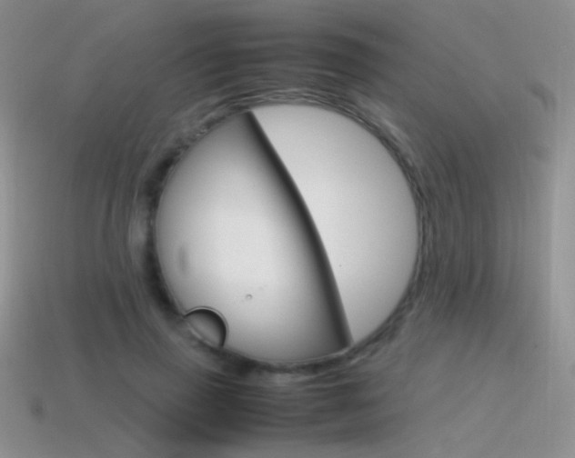 X0000115560645200911061148