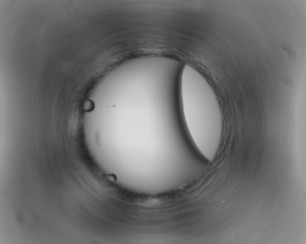 X0000115560647200911061148
