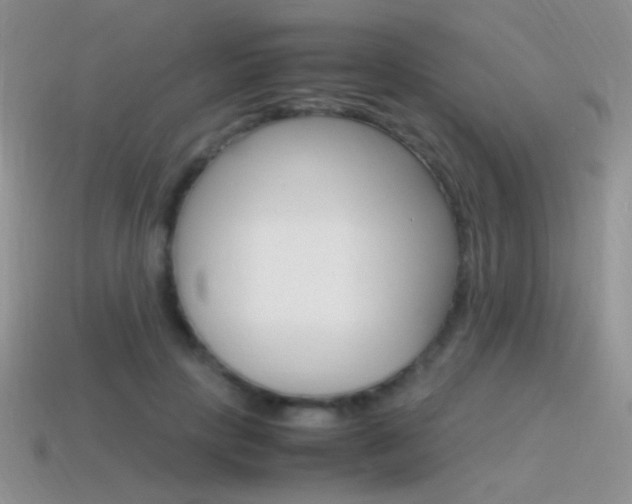 X0000115560649200911061148