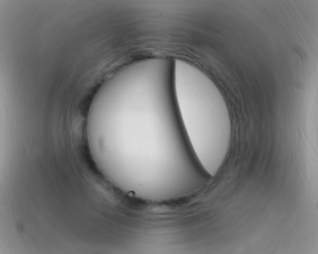 X0000115560650200911061148
