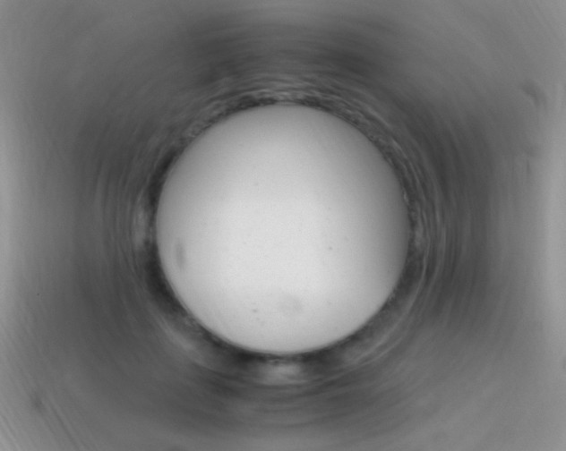 X0000115560651200911061148