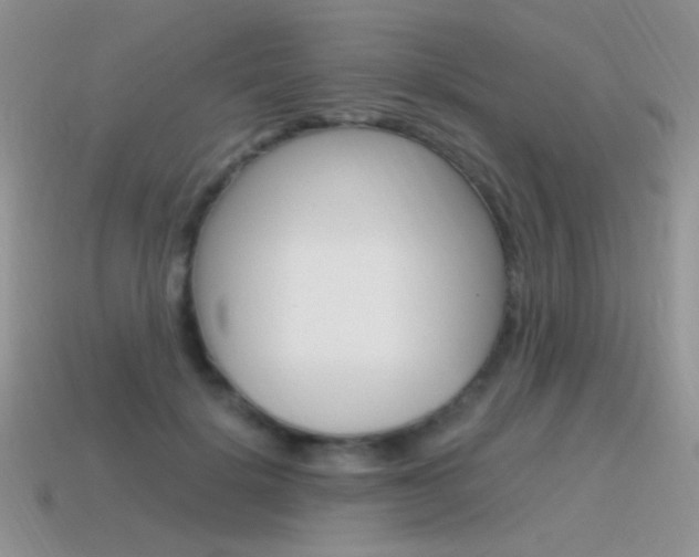 X0000115560652200911061148