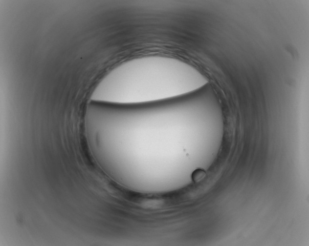X0000115560653200911061148