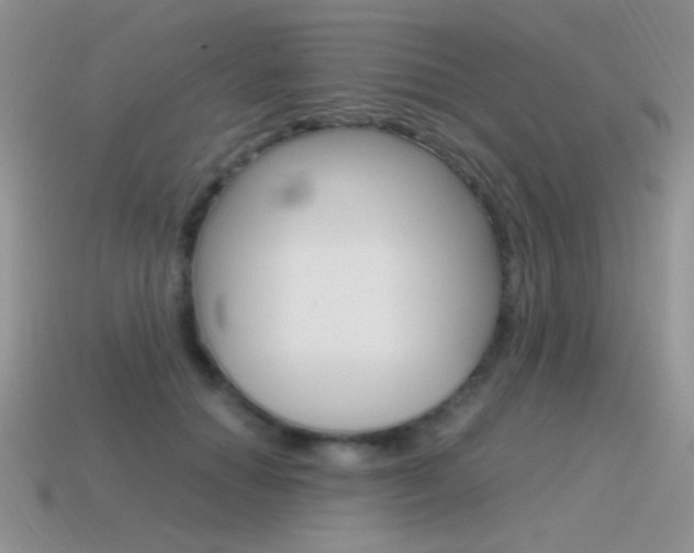 X0000115560654200911061148
