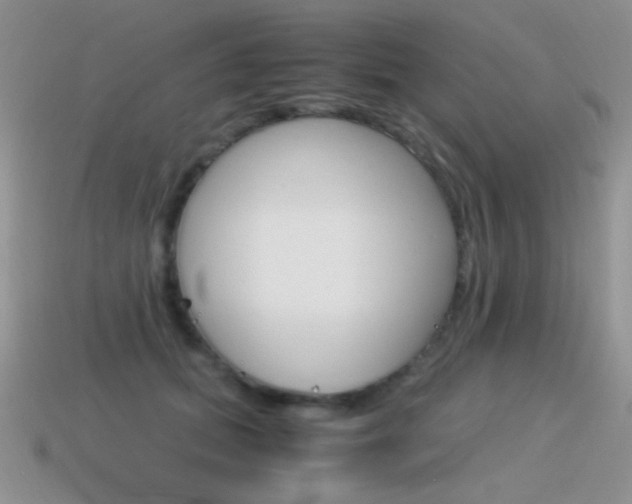X0000115560655200911061148