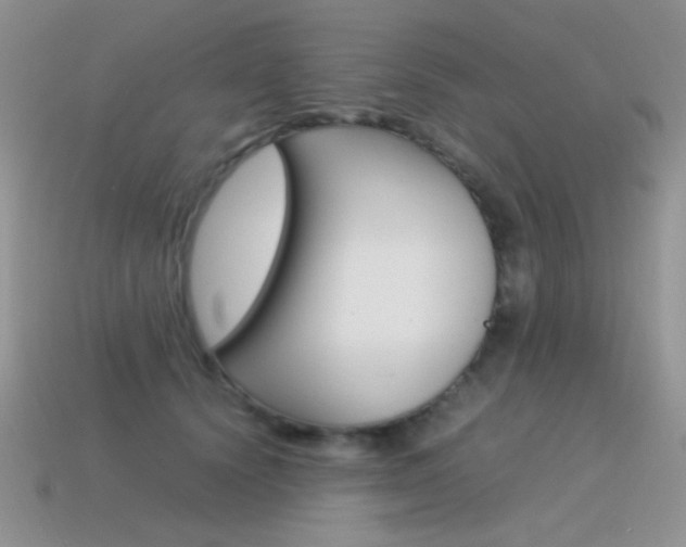 X0000115560656200911061148