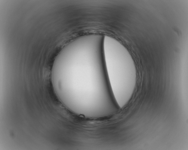 X0000115560657200911061148