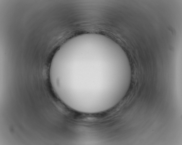 X0000115560658200911061149