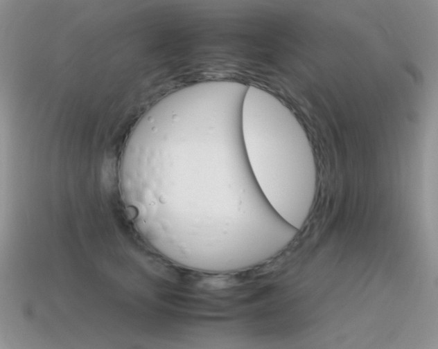 X0000115560659200911061149