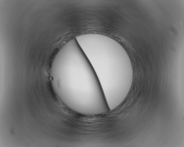 X0000115560661200911061149