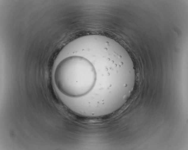 X0000115560662200911061149