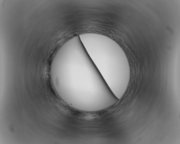 X0000115560663200911061149