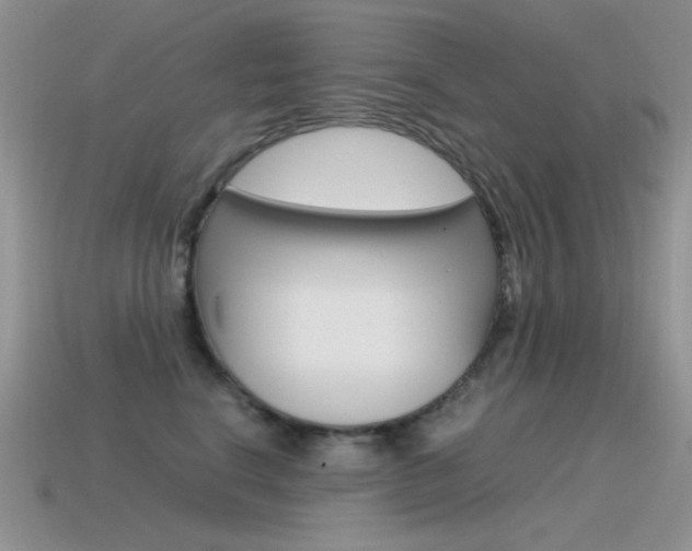 X0000115560664200911061149