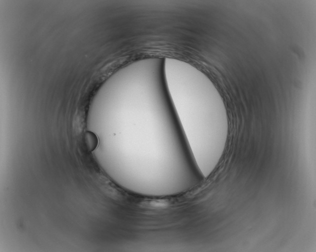 X0000115560665200911061149