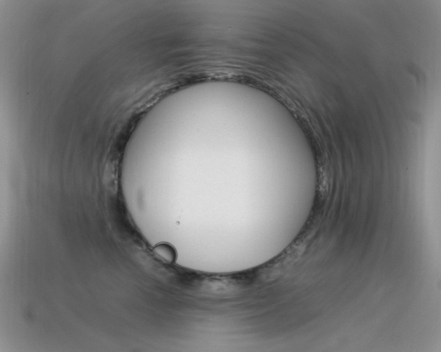 X0000115560666200911061149