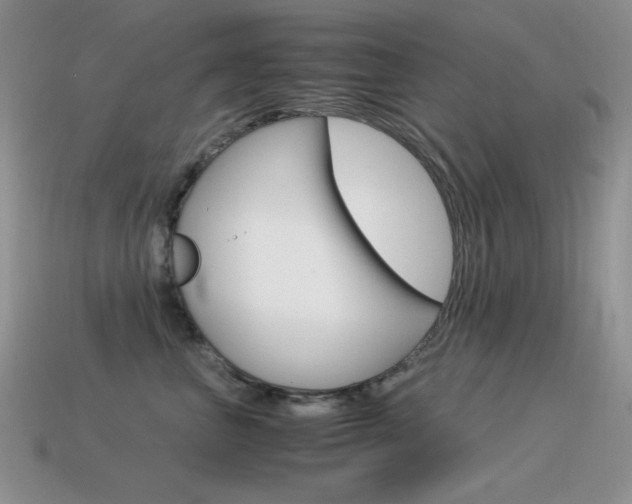 X0000115560667200911061149