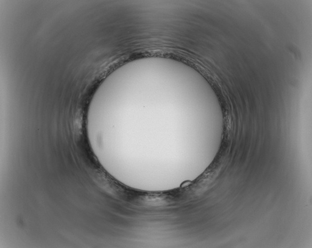 X0000115560668200911061149