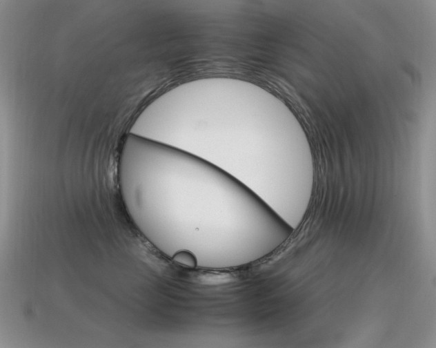 X0000115560669200911061149