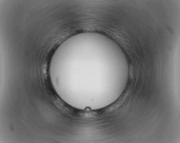 X0000115560670200911061149