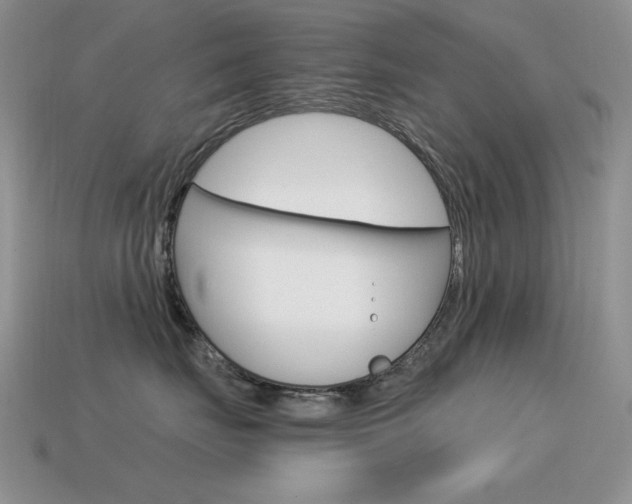 X0000115560671200911061149