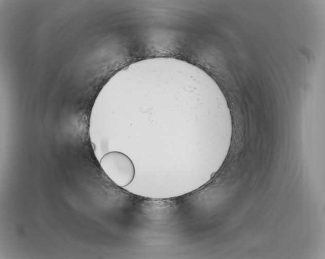 X0000115560672200911061149