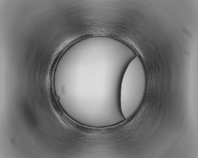 X0000115560674200911061148