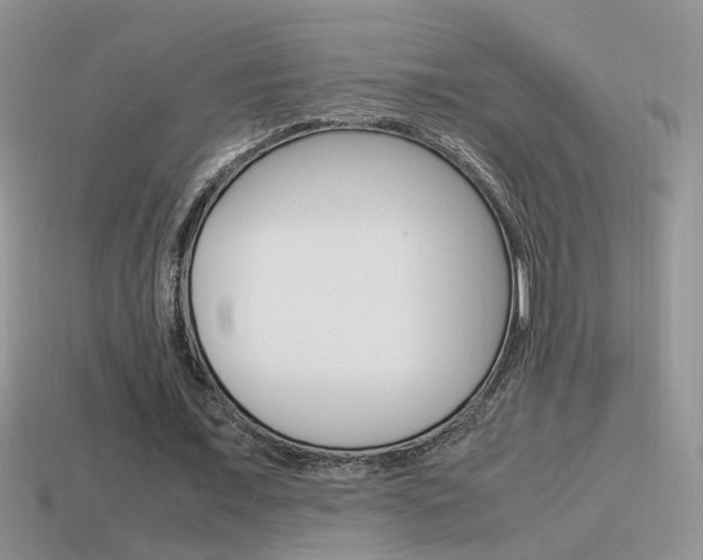 X0000115560675200911061148