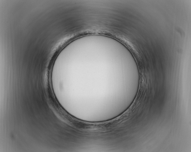 X0000115560678200911061148