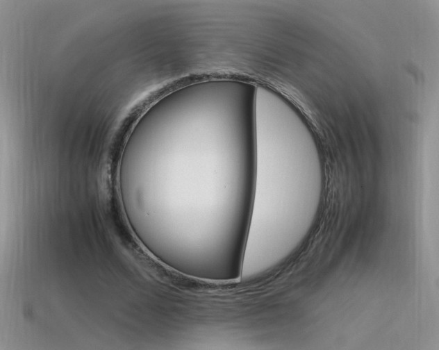 X0000115560680200911061148