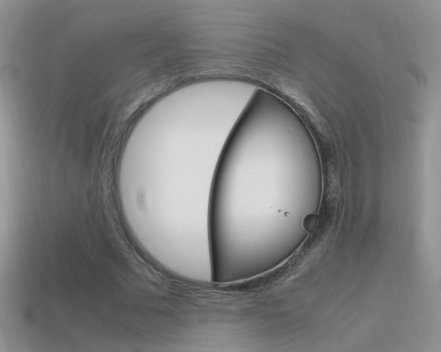X0000115560681200911061148