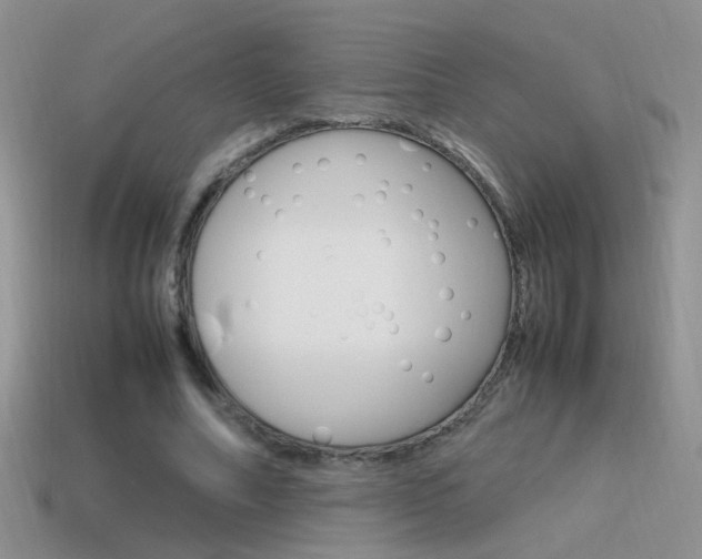 X0000115560682200911061148