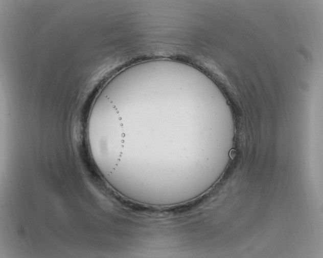 X0000115560683200911061148