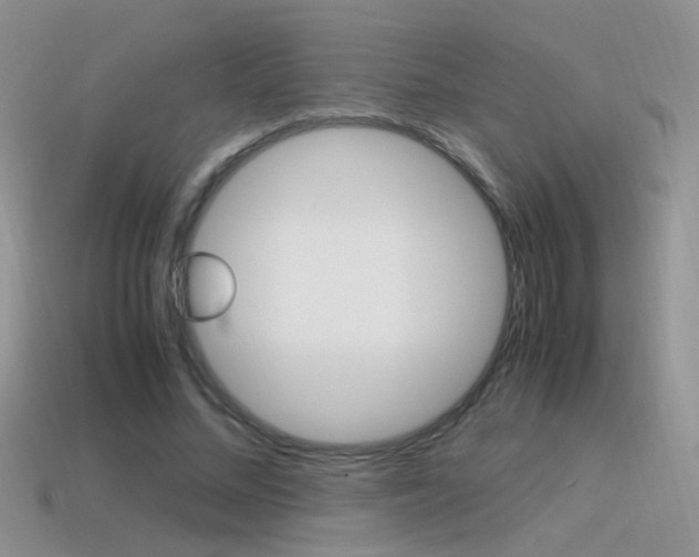 X0000115560684200911061148