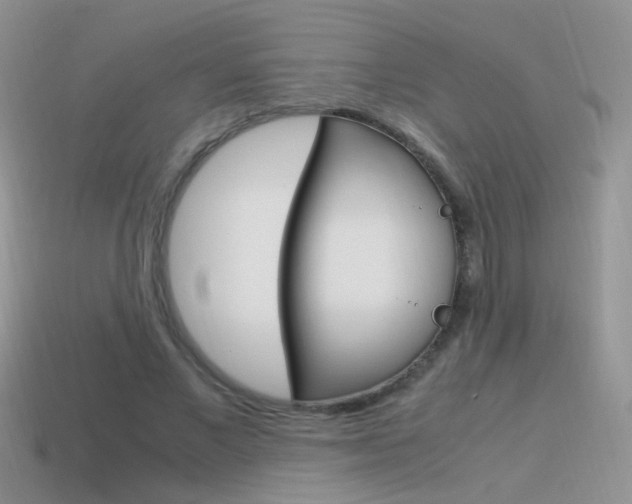 X0000115560685200911061148