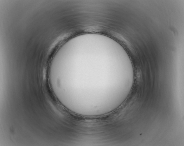 X0000115560686200911061148