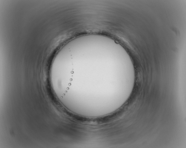 X0000115560687200911061148