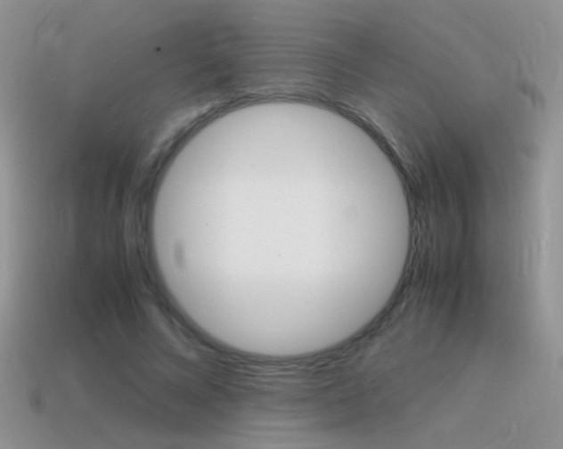 X0000115560688200911061148